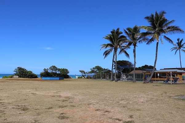 th IMG 1334 th IMG 1334