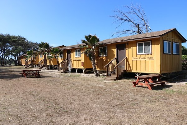 th IMG 1341 th IMG 1341