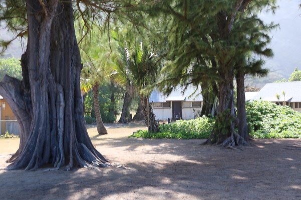 th IMG 1337 th IMG 1337