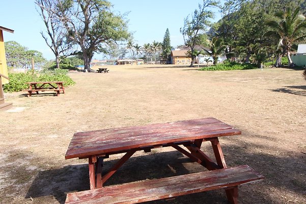 th IMG 1363 th IMG 1363