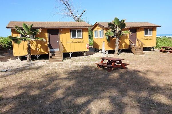 th IMG 1361 th IMG 1361