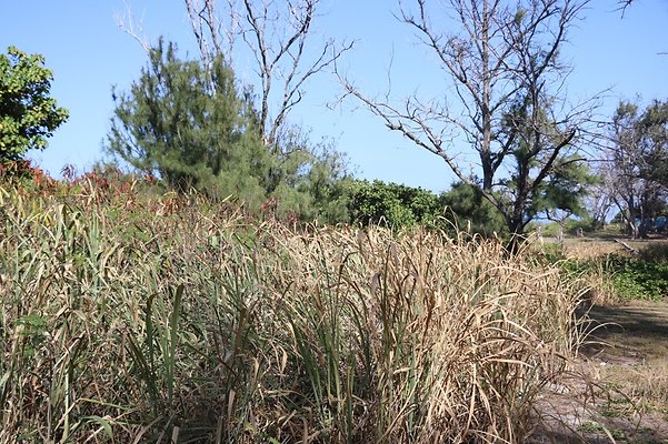 th IMG 1385 th IMG 1385