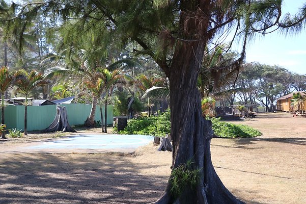 th IMG 1338 th IMG 1338