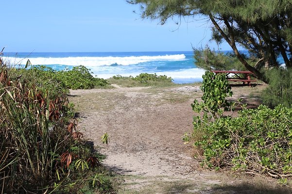 th IMG 1381 th IMG 1381