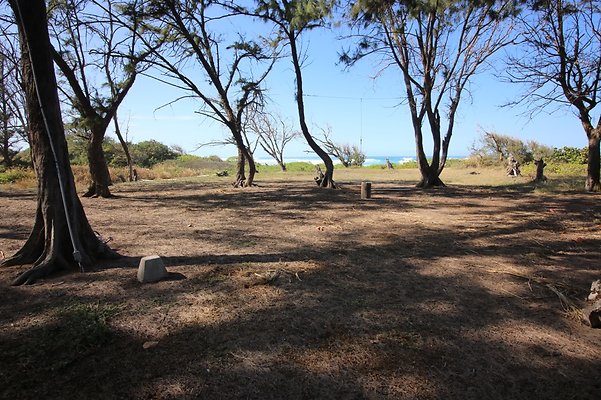 th IMG 1373 th IMG 1373