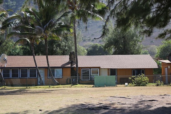 th IMG 1336 th IMG 1336