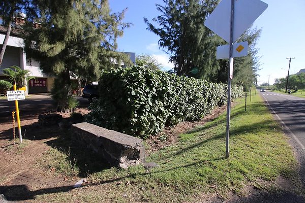 th IMG 1334 th IMG 1334