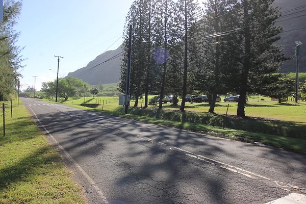 th IMG 1329 th IMG 1329