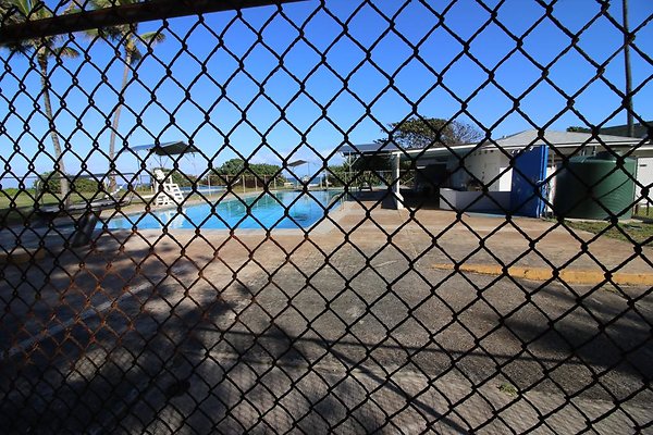 th IMG 1275 th IMG 1275