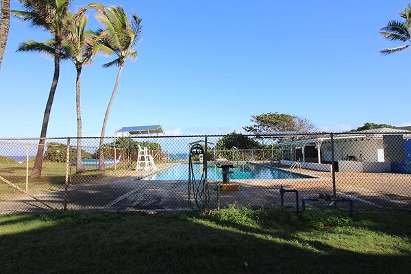 th IMG 1274 th IMG 1274