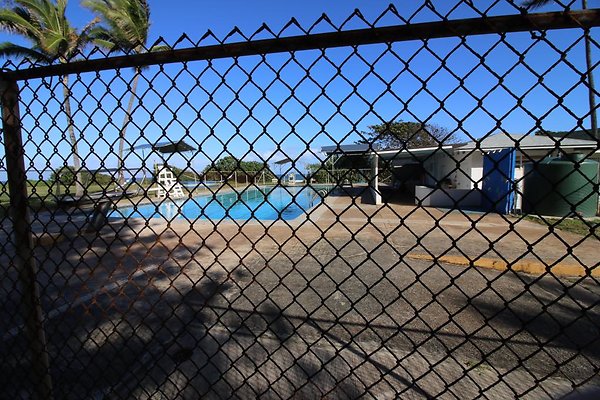 th IMG 1276 th IMG 1276