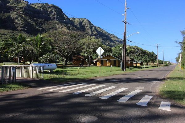 th IMG 1331 th IMG 1331