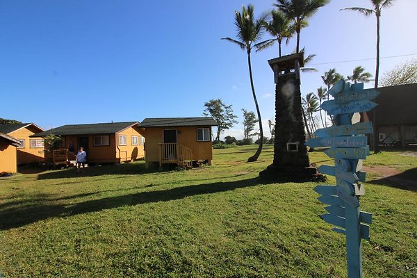 th IMG 1277 th IMG 1277