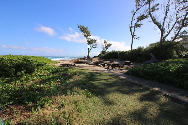 th IMG 1343 th IMG 1343