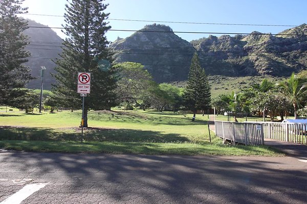 th IMG 1330 th IMG 1330