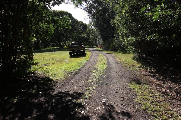 th IMG 1979 th IMG 1979