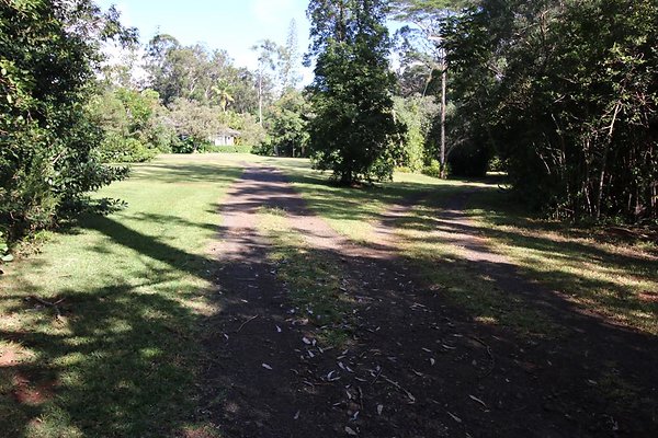 th IMG 1978 th IMG 1978