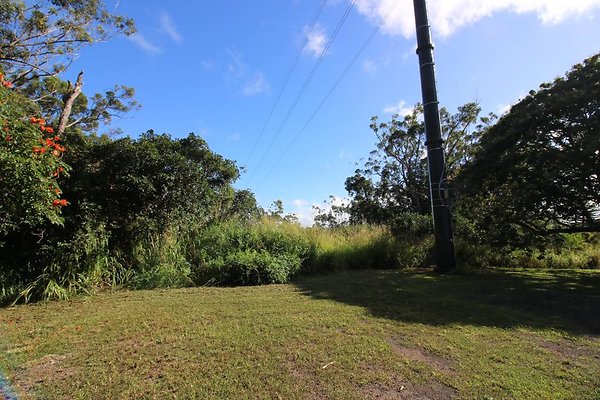 th IMG 1983 th IMG 1983