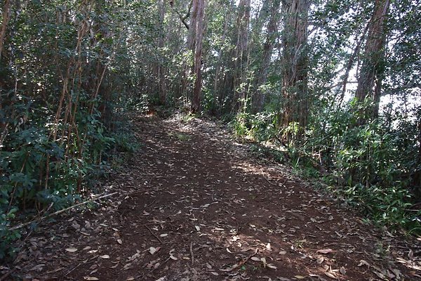 th IMG 1972 th IMG 1972