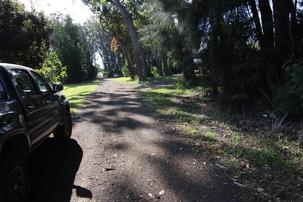 th IMG 2002 th IMG 2002