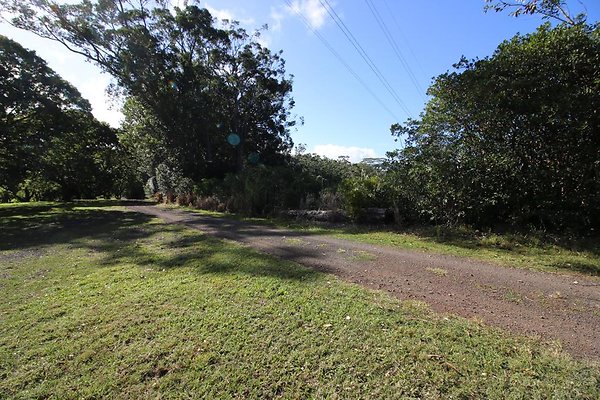 th IMG 1985 th IMG 1985