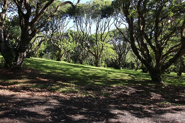 th IMG 2000 th IMG 2000