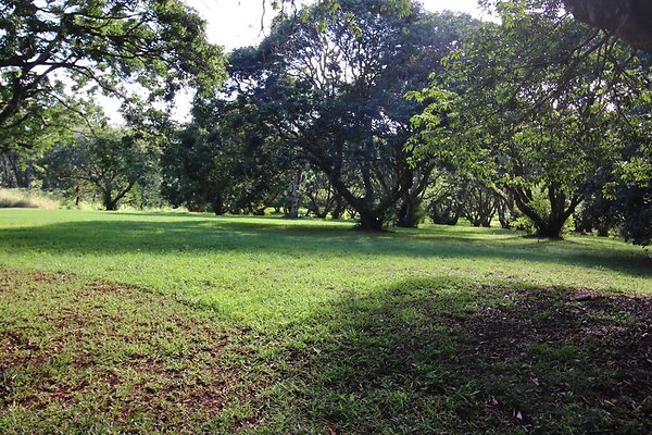 th IMG 1991 th IMG 1991