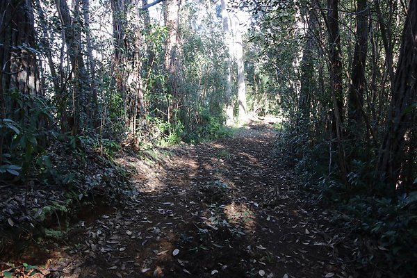 th IMG 1969 th IMG 1969