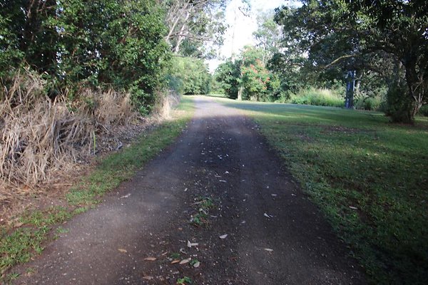 th IMG 1988 th IMG 1988