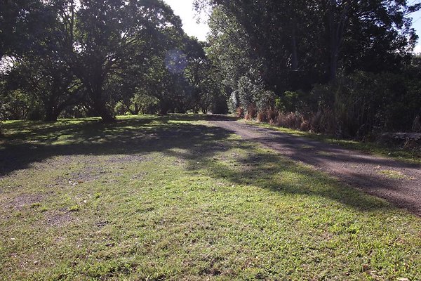 th IMG 1986 th IMG 1986