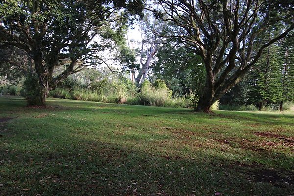 th IMG 1989 th IMG 1989