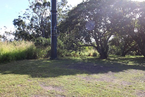 th IMG 1980 th IMG 1980