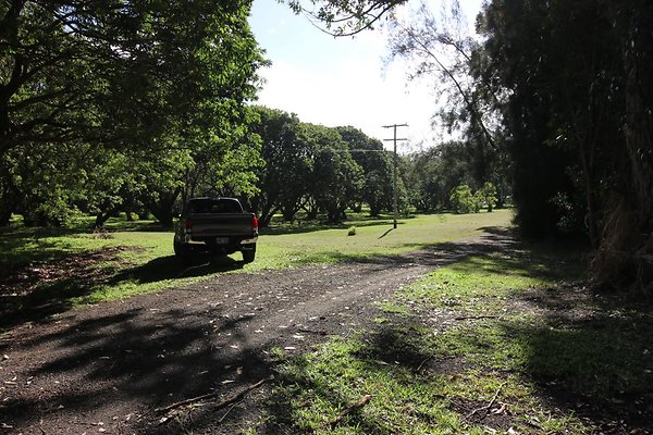 th IMG 2001 th IMG 2001