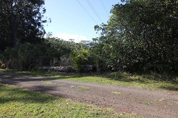 th IMG 1982 th IMG 1982