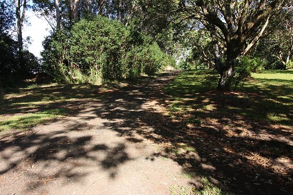 th IMG 1997 th IMG 1997