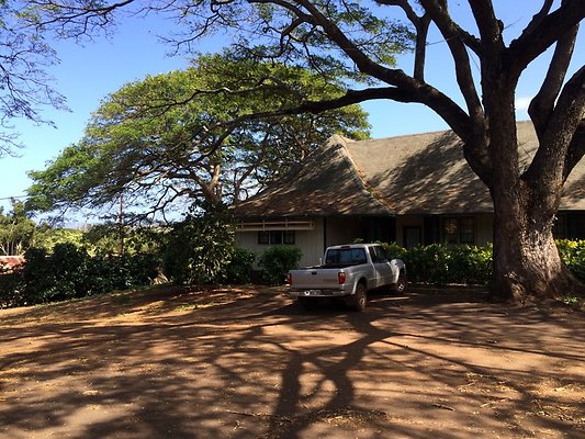 Wailua WailuaDole Cacao Plantation Wailua WailuaDole Cacao Plantation