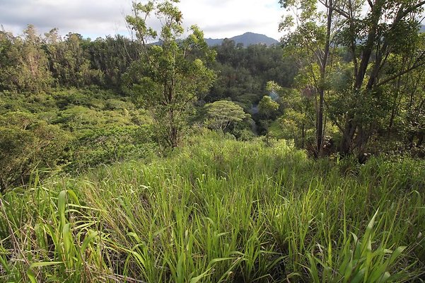 Goat Farm WOODS Eric Bellows 808.351.8169