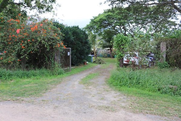 Waimanalo 41-131 Kulaiwi Street Jeff.Runyan 808.753.3704 Waimanalo 41-131 Kulaiwi Street Jeff.Runyan 808.753.3704