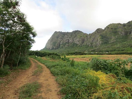 Waimanalo Farms Waimanalo Farms