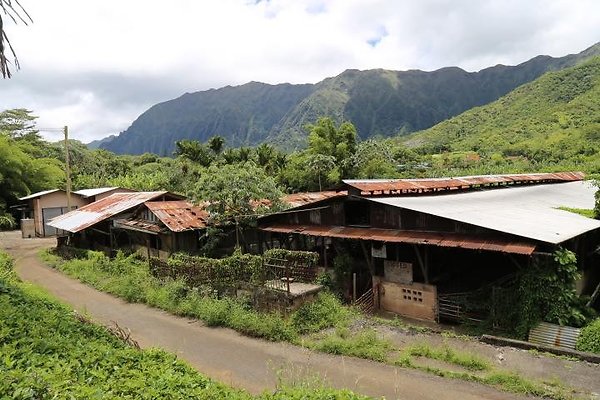 Kaneohe Pig Farm 47-510 Mapele Kaneohe Pig Farm 47-510 Mapele
