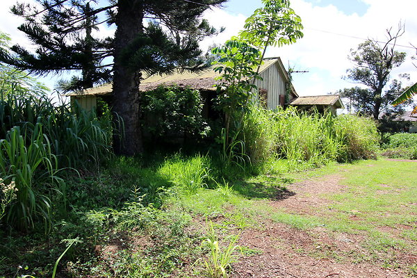 Unit-423 Hero Unit-423 Hero