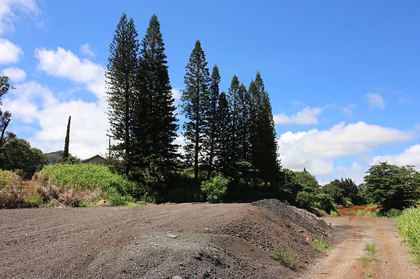 Pine Ridge-Next to Unit 421