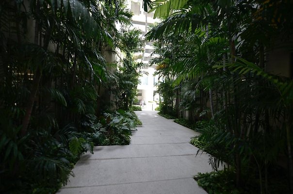 th DSC3550 th DSC3550