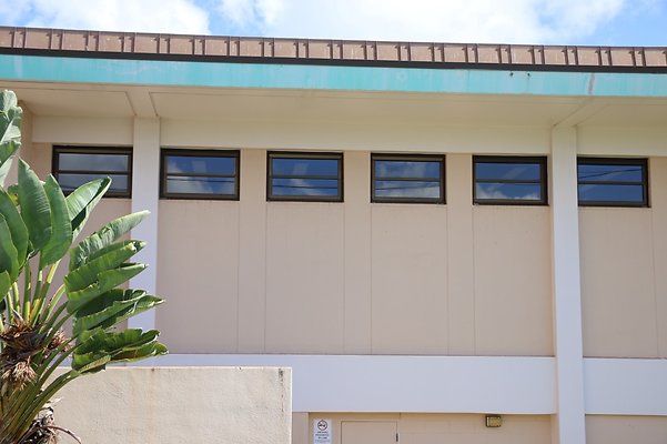 th IMG 1217 th IMG 1217