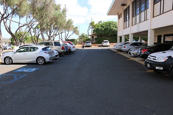 th IMG 1215 th IMG 1215