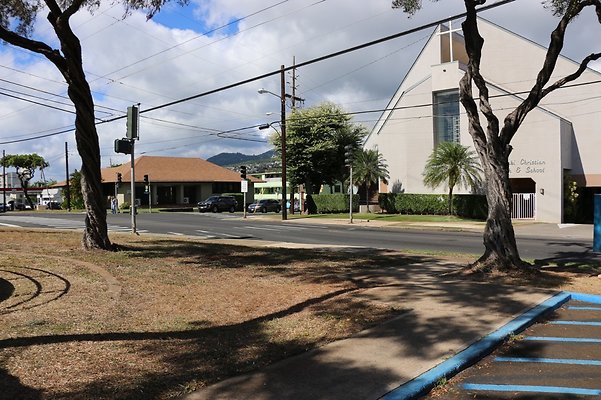 th IMG 1216 th IMG 1216