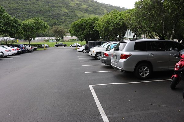 th IMG 0259 th IMG 0259