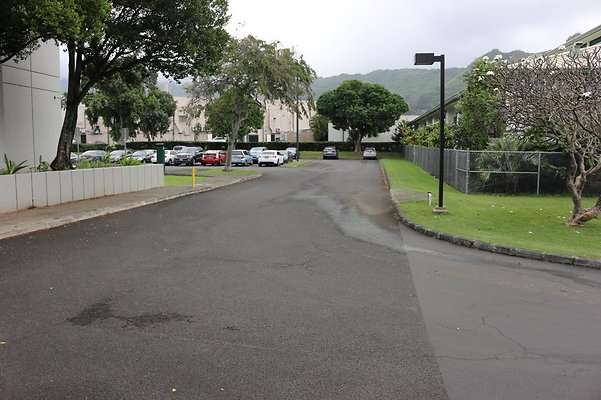 th IMG 0256 th IMG 0256