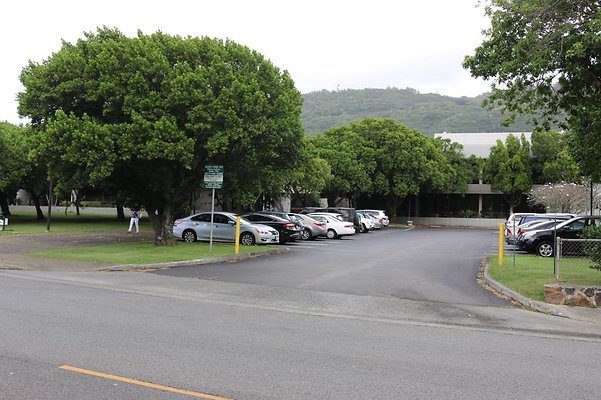 th IMG 0244 th IMG 0244