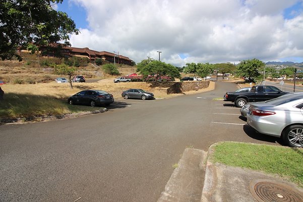 th IMG 1204 th IMG 1204